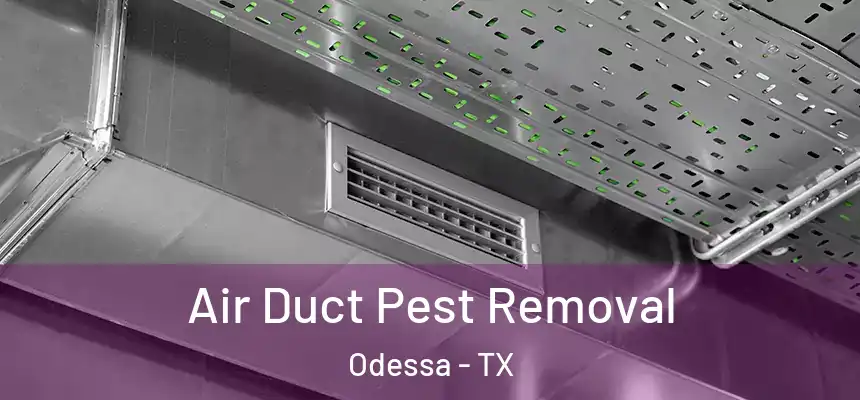  Air Duct Pest Removal Odessa - TX