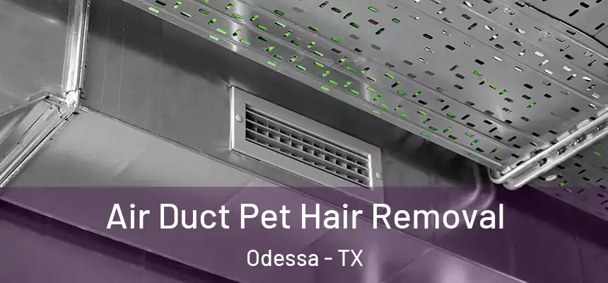  Air Duct Pet Hair Removal Odessa - TX
