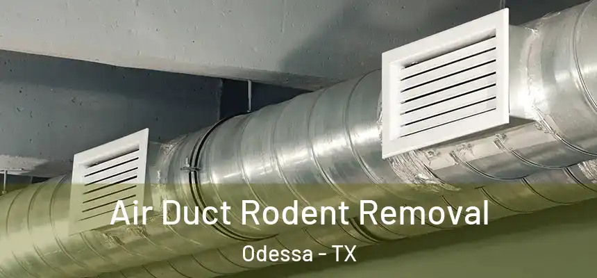  Air Duct Rodent Removal Odessa - TX