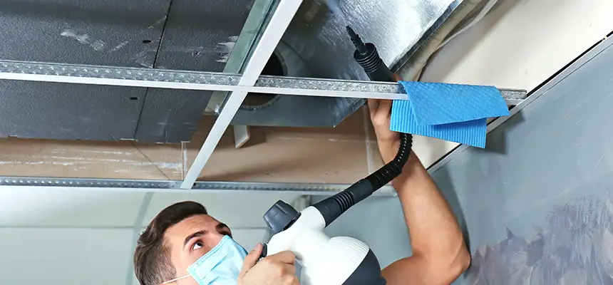 Our Air Duct Rodent Removal Services in Odessa, TX