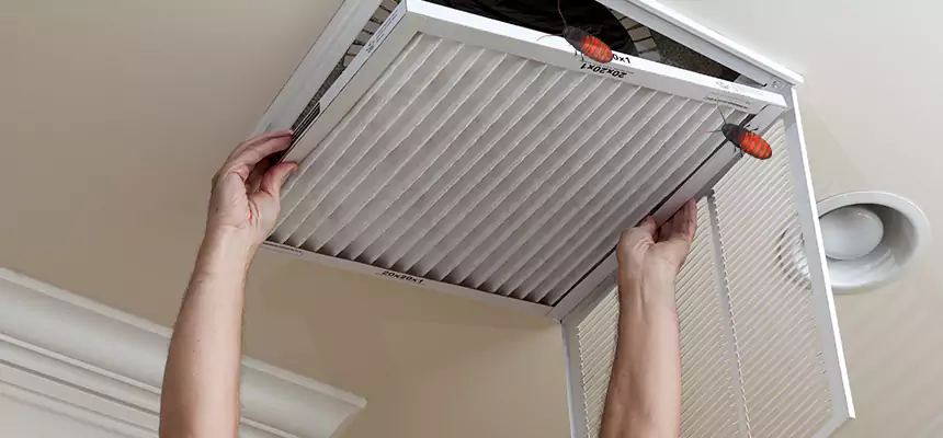 Our Insect Removal from Air Ducts Services in Odessa, TX