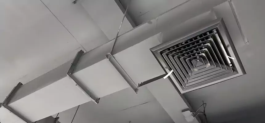 Our Rodent Droppings In Vents Services in Odessa, TX