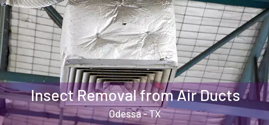 Insect Removal from Air Ducts Odessa - TX