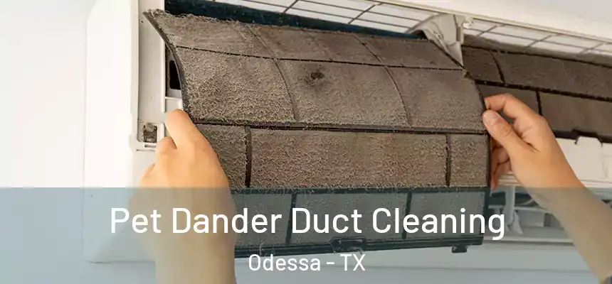 Pet Dander Duct Cleaning Odessa - TX