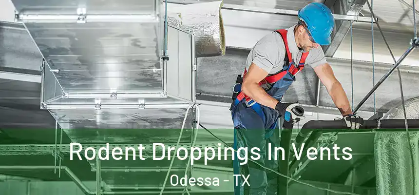 Rodent Droppings In Vents Odessa - TX