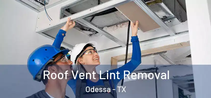 Roof Vent Lint Removal Odessa - TX