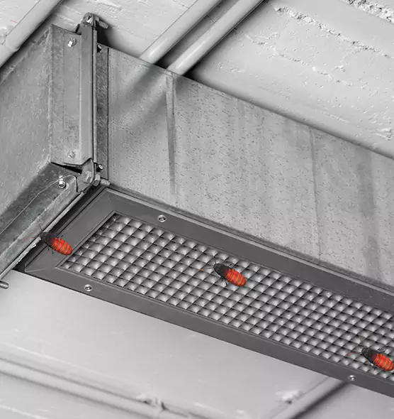 Affordable Insect Removal from Air Ducts in Odessa, TX