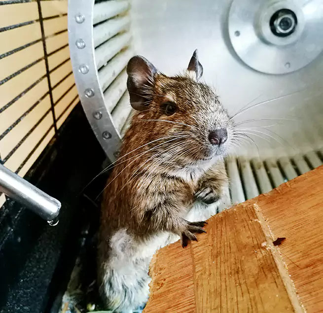 Why Homeowners & Businesses Trust Us Odessa, TX